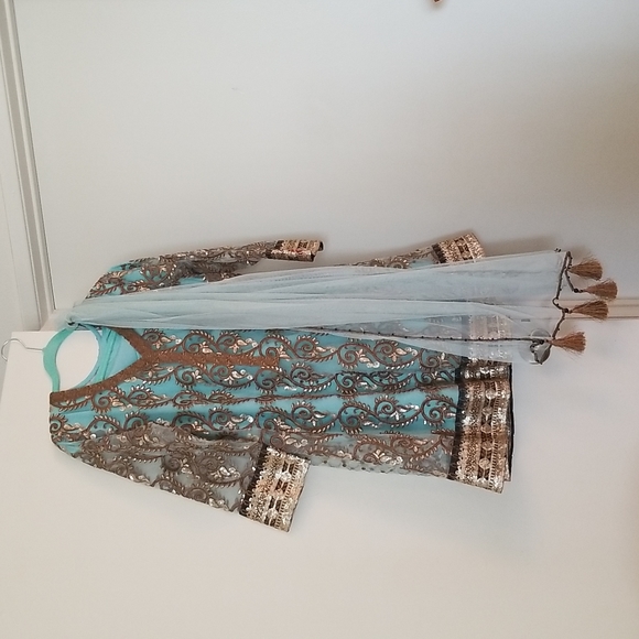 Fancy Pakistani Dress - Picture 2 of 4